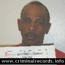Damon D Mitchell