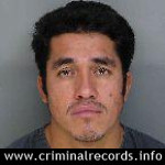 Sex Offender